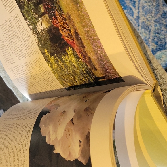 Book,Flower,"Growing Fragrant  Flowers" Lg.Coffee table book.Like NEW - Picture 6 of 16